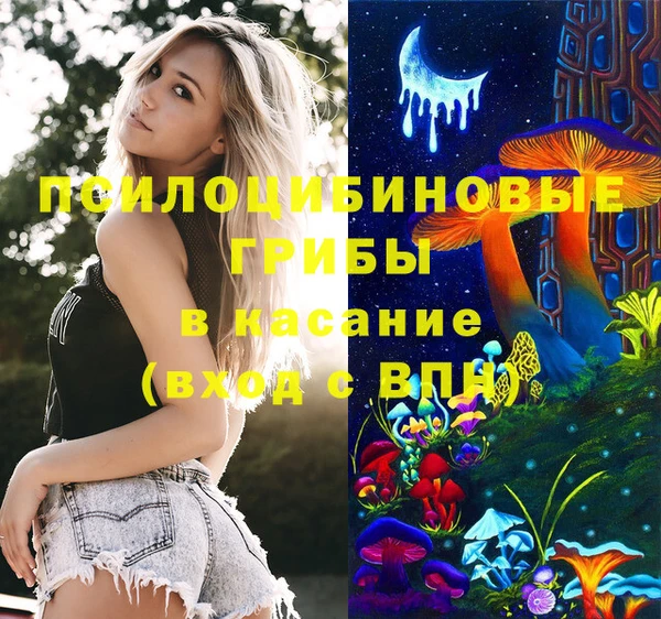 гидропоника Алзамай