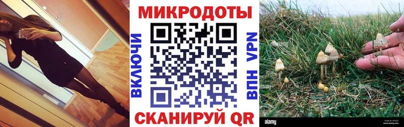 Галлюциногенные грибы прущие грибы  площадка формула  Бирюсинск 